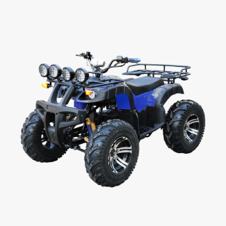 퍼포먼스 ATV 2WD (EV/2000W)