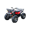 스탠다드 ATV 2WD (EV/1200W)