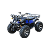 퍼포먼스 ATV 2WD (EV/2000W)