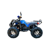 프리미엄 ATV 4WD (EV/3000W)